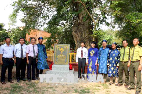 Công[-]nhận[-]cây[-]Di[-]sản[-]niên[-]đại[-]hàng[-]trăm[-]năm[-]tại[-]huyện[-]Phú[-]Tân,[-]An[-]Giang